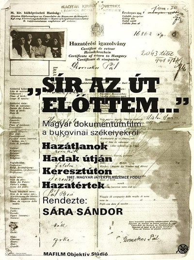 Póster de Sír az út elöttem