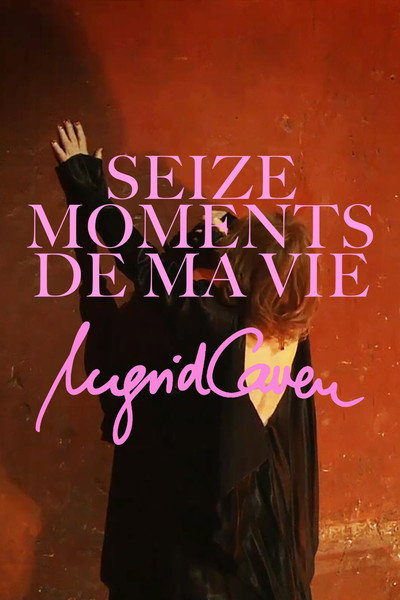 Póster de Sixteen Moments of My Life