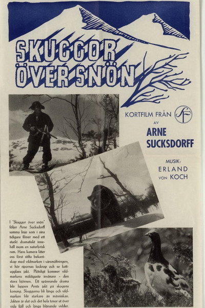 Póster de Skuggor över snön