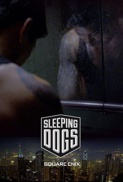 Póster de Sleeping Dogs