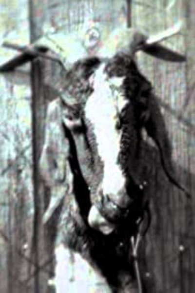 Póster de Slipknot: Goat - The 10th Anniversary of Iowa