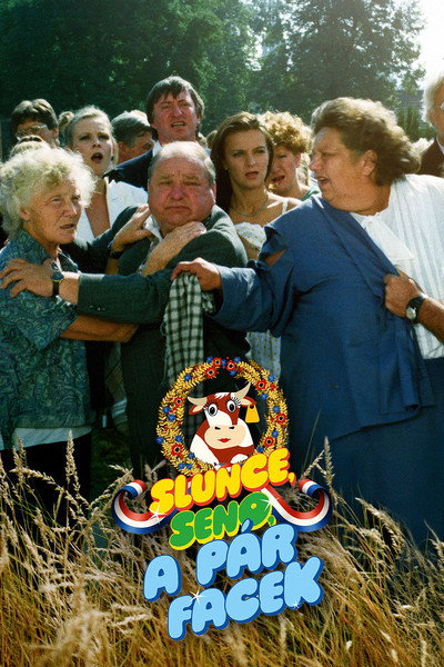 Póster de Slunce, seno a pár facek