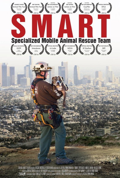 Póster de SMART
