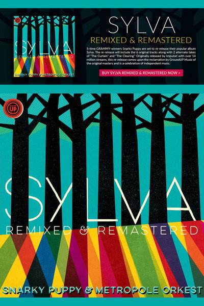 Póster de Snarky Puppy & Metropole Orkest: Sylva