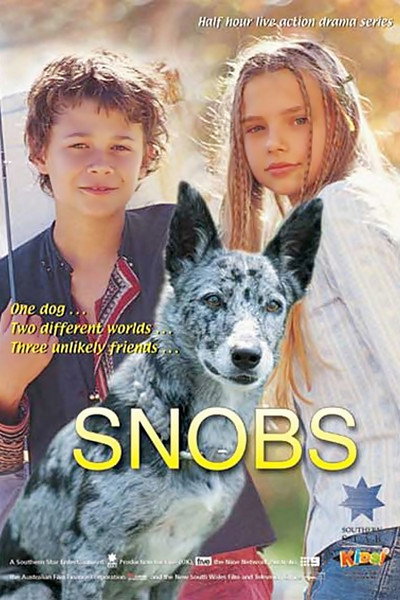 Póster de Snobs