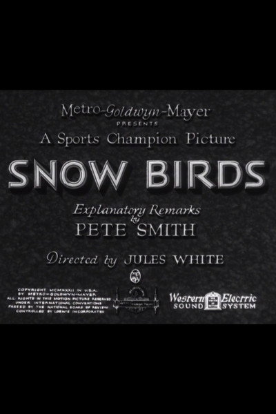 Póster de Snow Birds