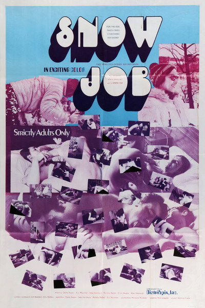 Póster de Snow Job