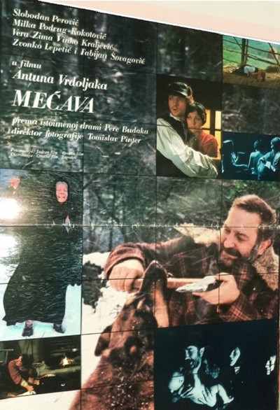 Póster de Snowstorm