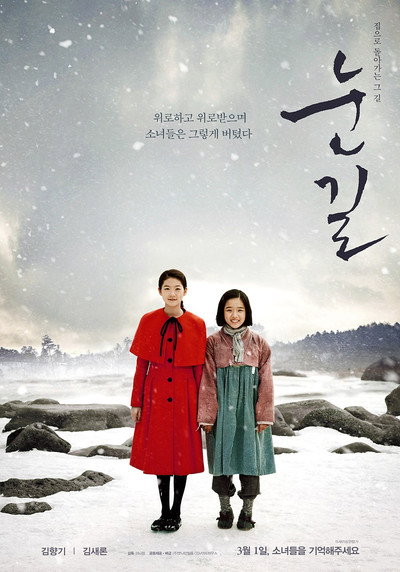 Póster de Snowy Road