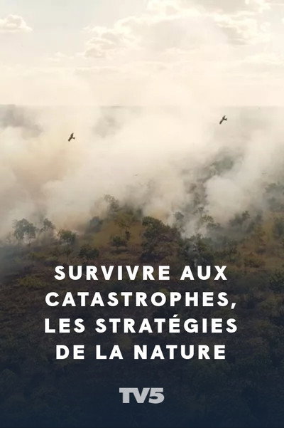 Póster de Sobrevivir a las catástrofes. Las estrategias de la naturaleza