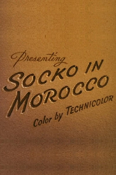 Póster de Socko in Morocco