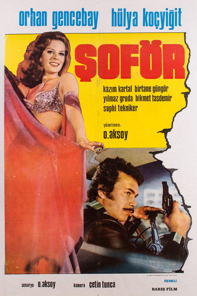 Póster de Soför