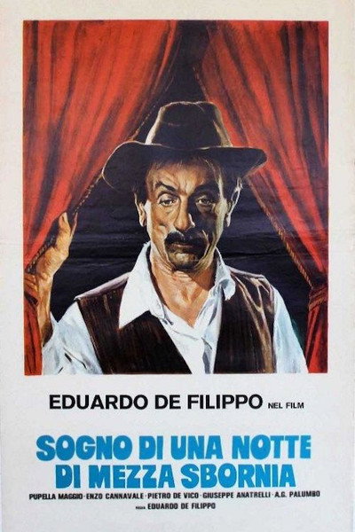 Póster de Sogno di una notte di mezza sbornia