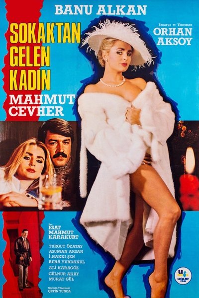 Póster de Sokaktan Gelen Kadin