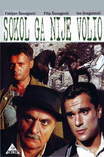 Póster de Sokol Did Not Love Him