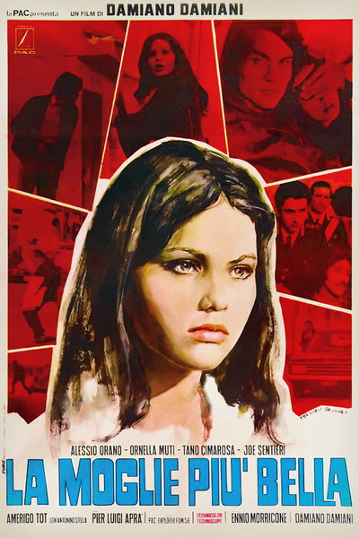 Póster de Sola frente a la violencia