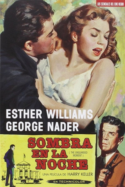 Póster de Sombra en la noche
