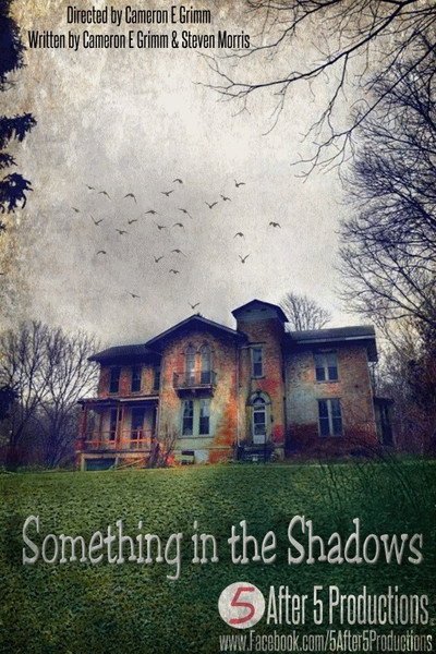 Póster de Something in the Shadows