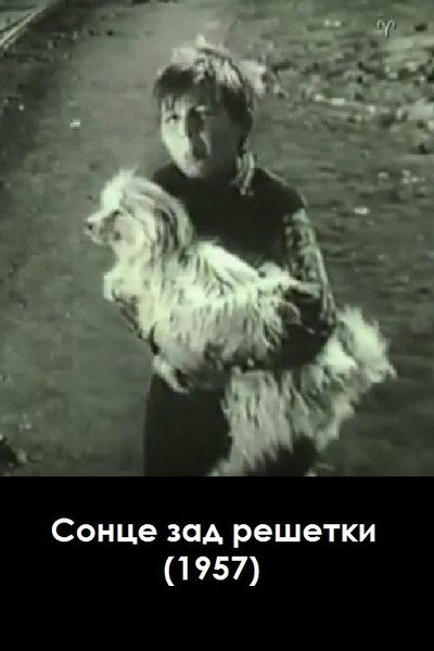 Póster de Sonce zad reshetki