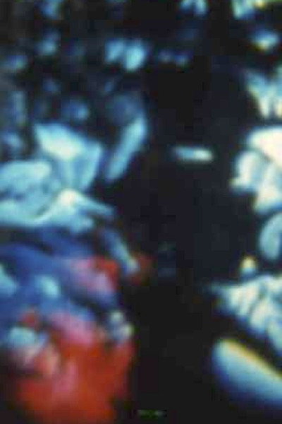 Póster de Song 16