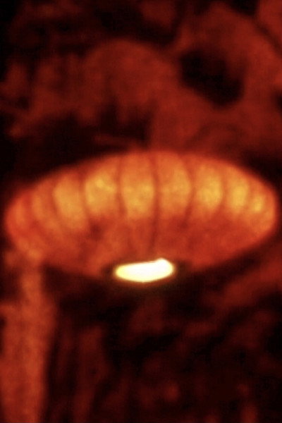 Póster de Song 18