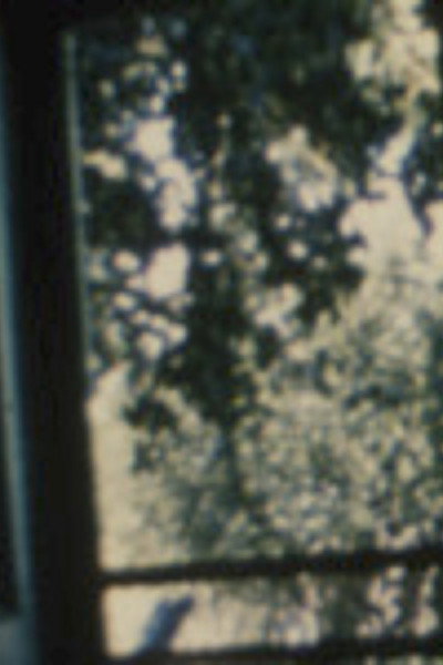 Póster de Song 19