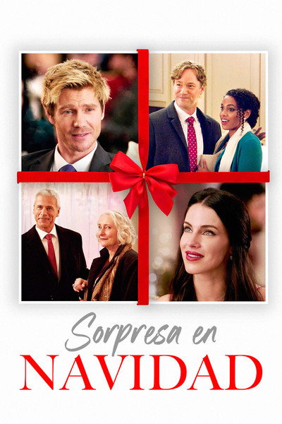 Póster de Sorpresa en Navidad
