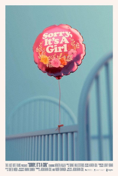 Póster de Sorry, It's A Girl