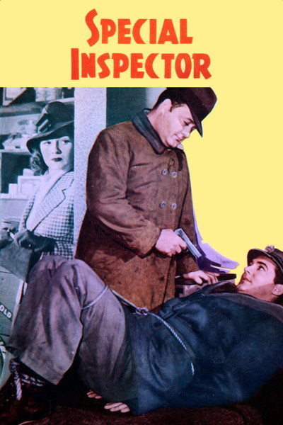 Póster de Special Inspector
