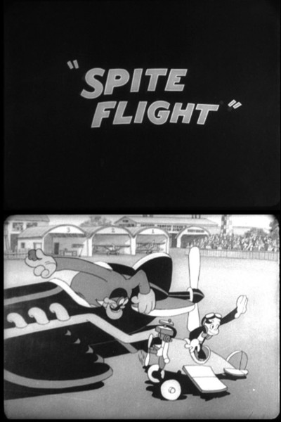 Póster de Spite Flight