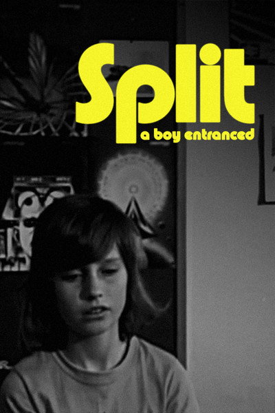 Póster de Split