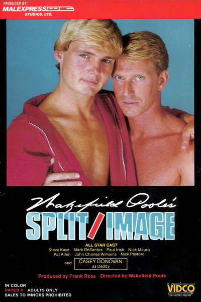 Póster de Split Image
