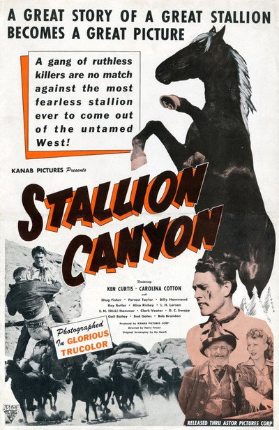 Póster de Stallion Canyon