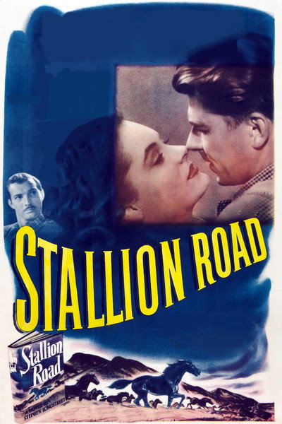 Póster de Stallion Road