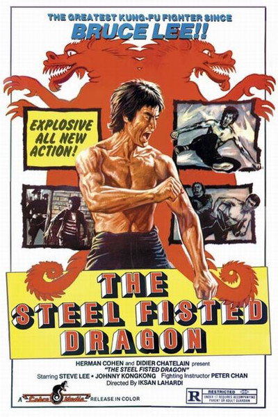 Póster de Steel-Fisted Dragon