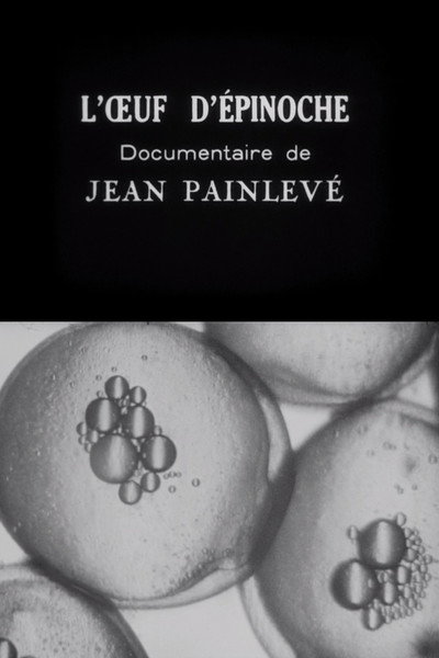 Póster de Stickelback Eggs