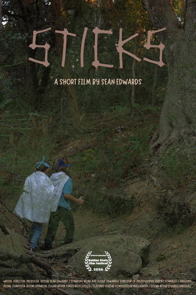 Póster de Sticks