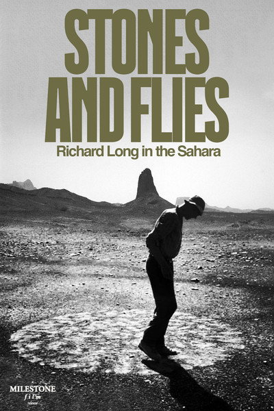 Póster de Stones and Flies: Richard Long in the Sahara