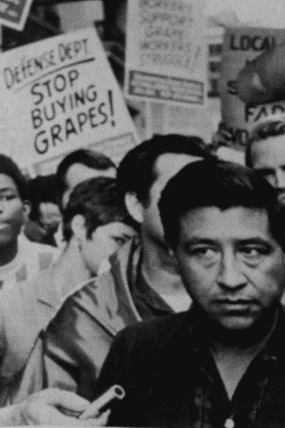 Póster de Stop Buying Grapes