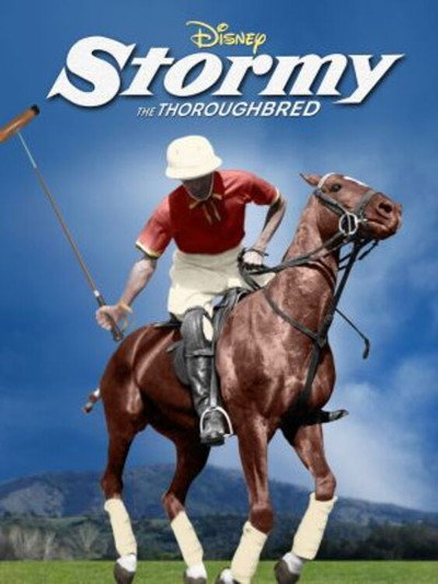 Póster de Stormy, the Thoroughbred