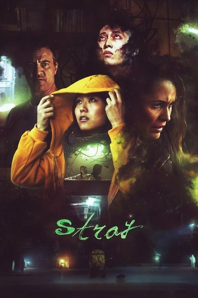 Póster de Stray
