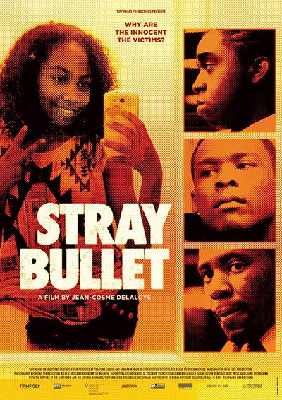 Póster de Stray Bullet