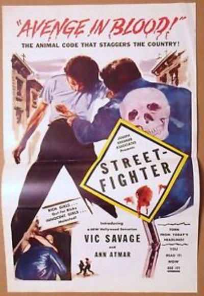 Póster de Street-Fighter