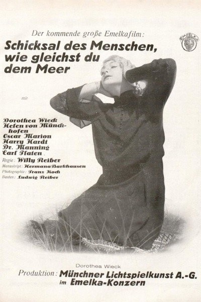 Póster de Sturmflut