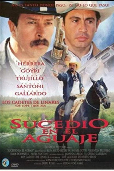 Póster de Sucedió en el aguaje