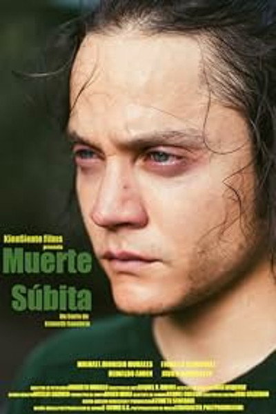 Póster de Sudden Death