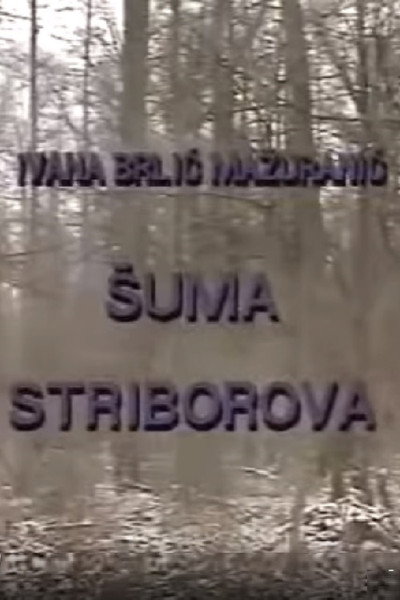 Póster de Suma Striborova