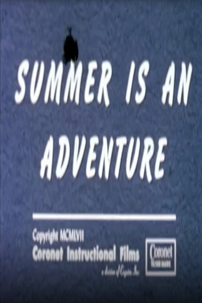 Póster de Summer Is an Adventure