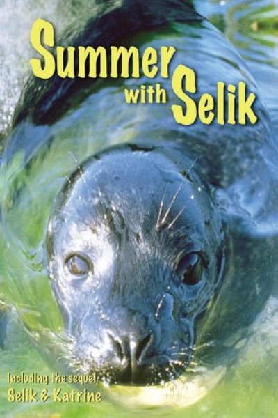 Póster de Summer with Selik