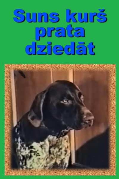 Póster de Suns kurs prata dziedat